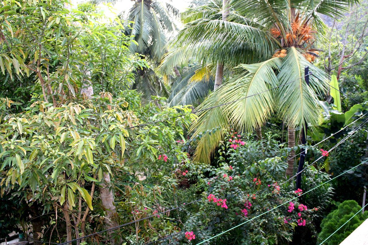 快乐椰子酒店 乌纳瓦图纳 外观 照片
